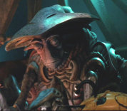 craislani02077012.jpg
